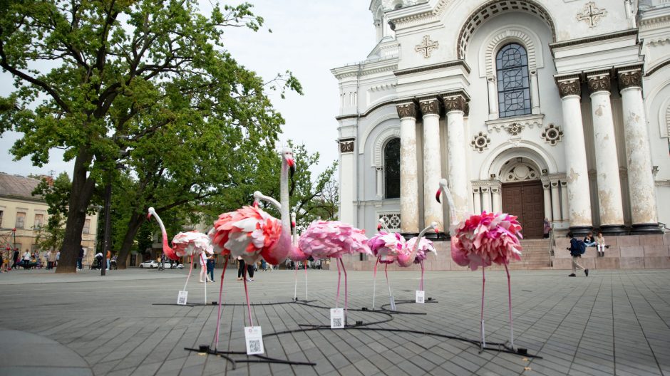 Miesto centre nutūpę flamingai turi svarbią misiją: kviečia išgirsti mažųjų ligoniukų svajones