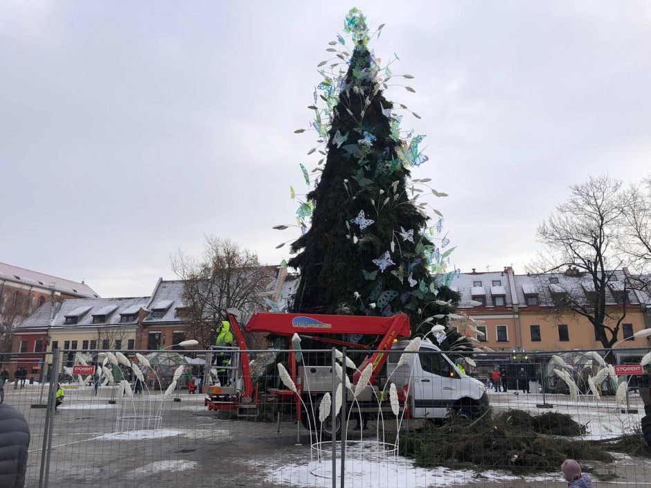 Naujausios žinios iš Rotušės aikštės: tikimasi, kad jau kitą savaitę eglutė sužibės naujai