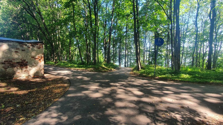 Užsienietis prie Kauno marių įsikūrė darbo vietą: per plauką išvengė net kelių baudų