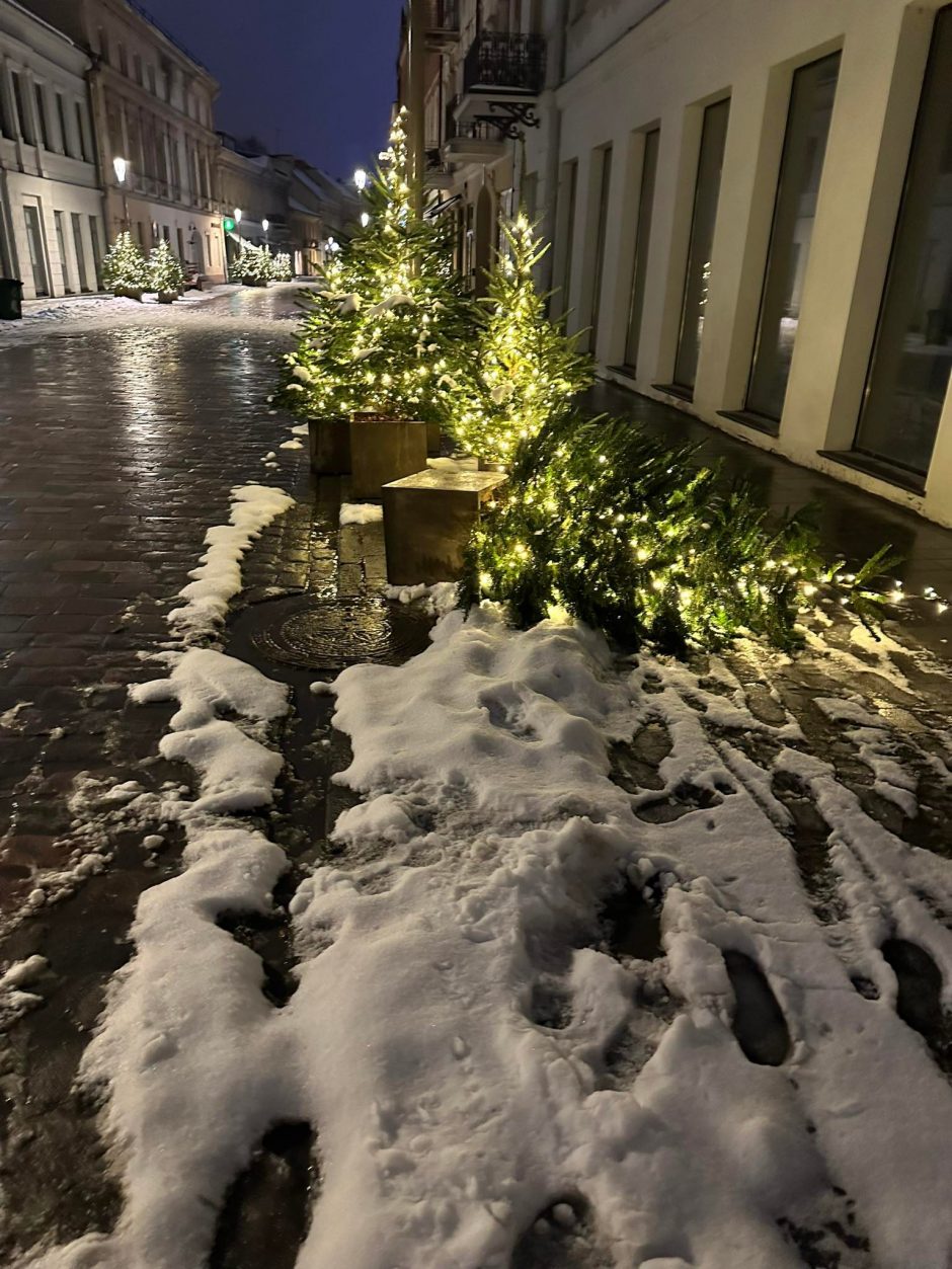 Tviskančios Vilniaus gatvės eglutės neatlaikė vandalų pūgos (papildyta)