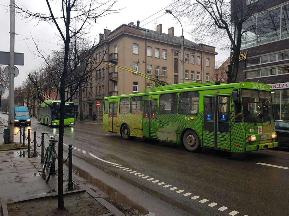 Miesto centre eismą trikdė netikėta kliūtis