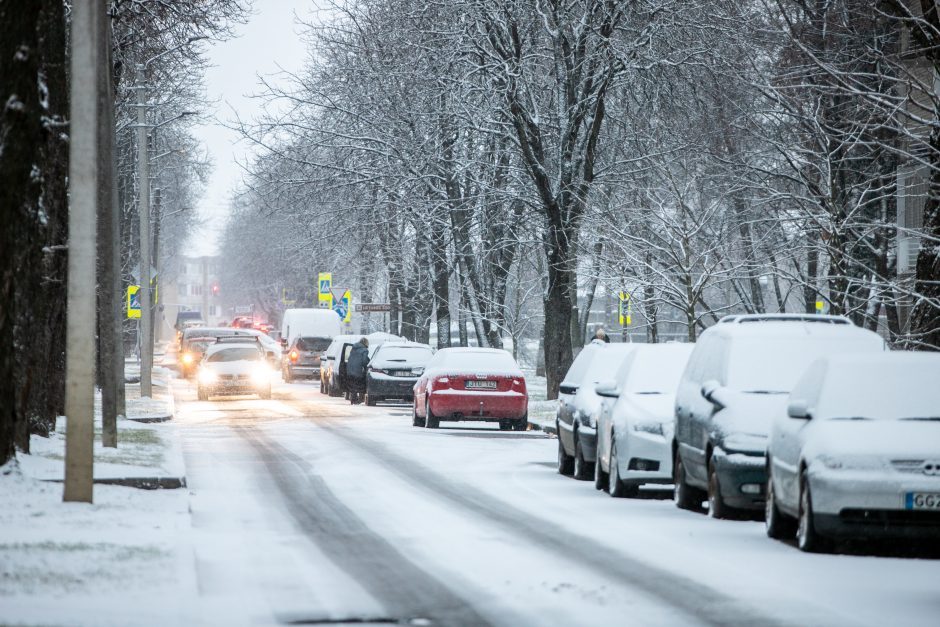 Iškritęs sniegas pridarė žalos: virto medžiai, apgadinti automobiliai