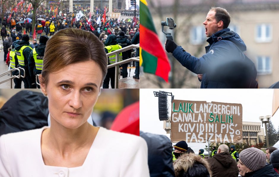 V. Čmilytė-Nielsen apie protestus Vasario 16-ąją: maršistai nori triukšmo