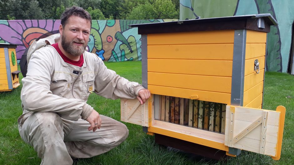 Ant verslo centrų – šimtas tūkstančių bičių