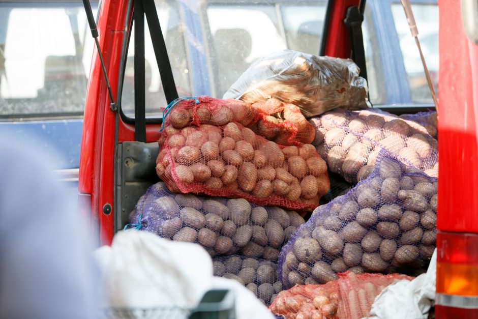Ūkininkai skundžiasi prastu derliumi: bulvės jau brango ir tai dar ne pabaiga