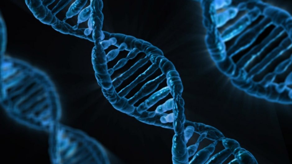 Mokslininkai plečia genetinio kodo „raidyną“