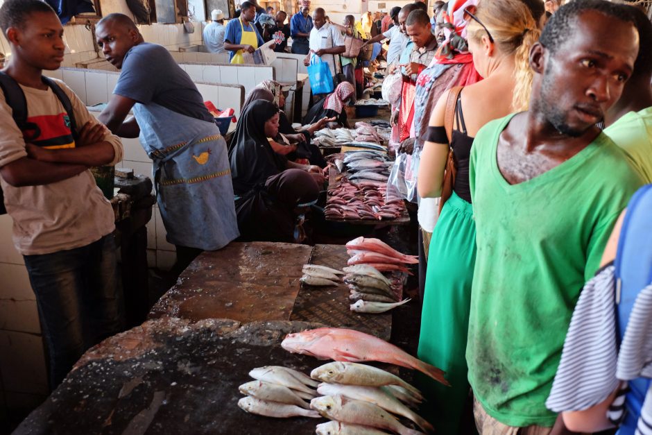 Žaisliniu lėktuvėliu – į Zanzibarą (kelionės įspūdžiai)