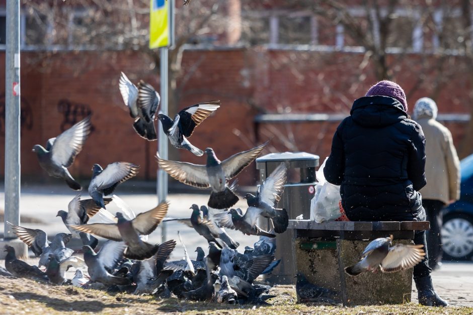 Pensijų fondai vėl pelningi, bet ar ilgam?