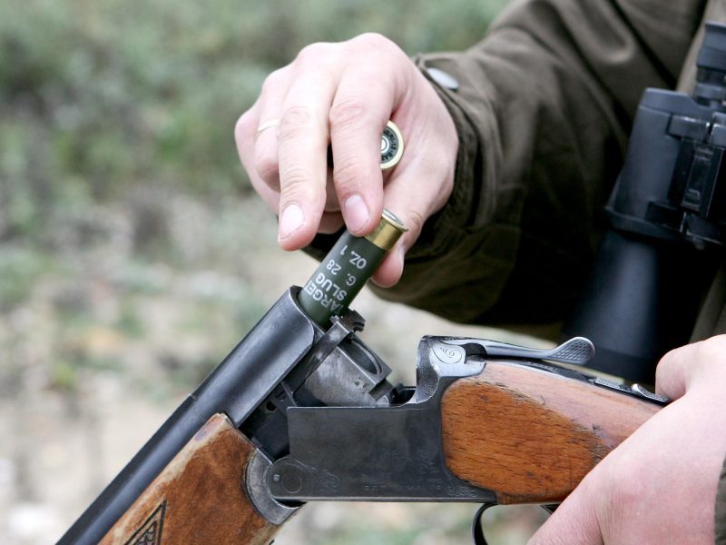Vilkaviškio rajone iš namo nugvelbtas šautuvas