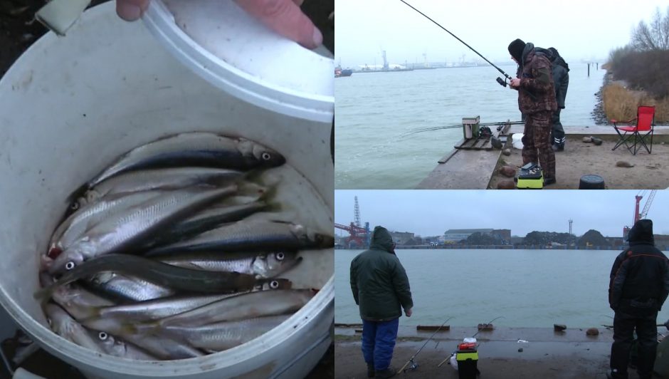 Stintų žvejyba vienam vyrui baigėsi tragiškai: aiškėja daugiau aplinkybių