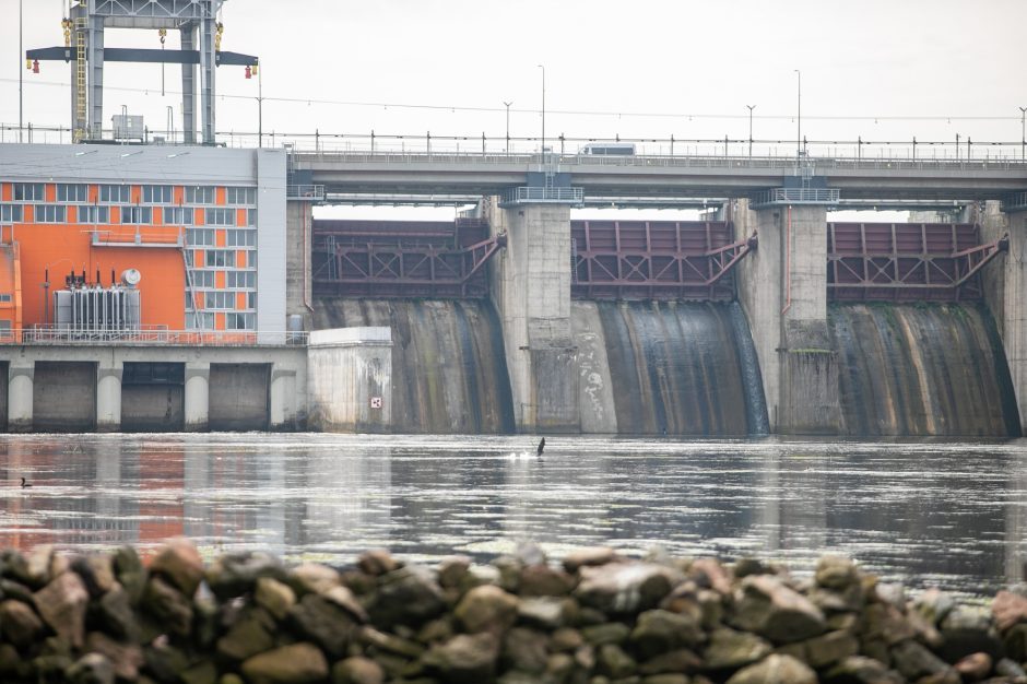 Rusakalbio grasinimai, kad sprogs Kauno hidroelektrinė, nepasitvirtino 