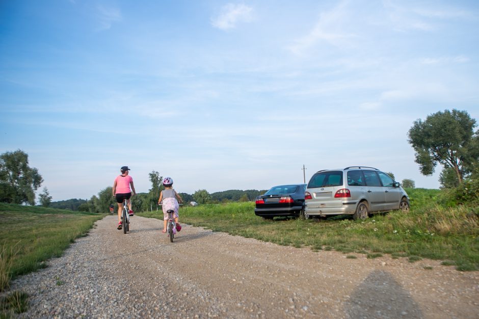 Vaizdingame gamtos kampelyje – pažeidėjai: jau nubausta per 100 vairuotojų