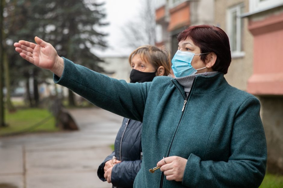 Eiguliuose netyla ginčai: gyventojai dėl svajonių kiemo aukoja medžius