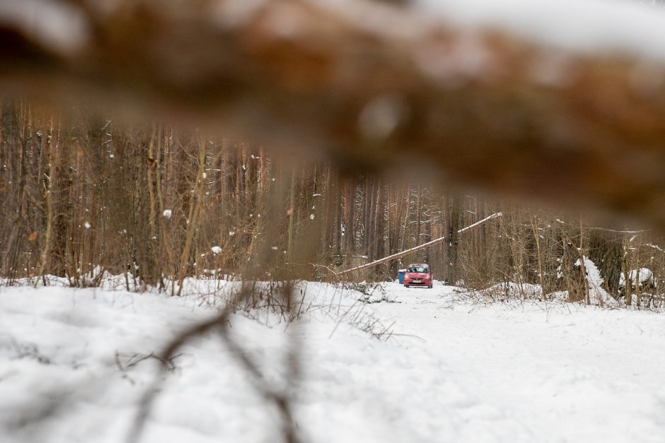 Už ES lėšas sutvarkytas privatus parkas Kauno rajone – atviras?