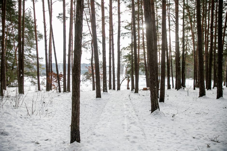 Už ES lėšas sutvarkytas privatus parkas Kauno rajone – atviras?