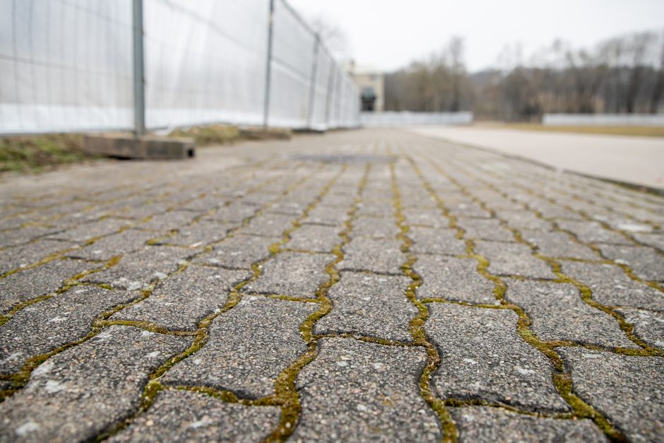 Kauniečiai atkreipė dėmesį: Santakos parke tuoj vėl karaliaus darbininkai