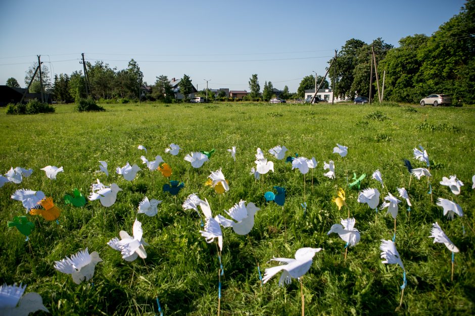 Nors Romainiai sparčiai plečiasi, šeimos su vaikais naujos mokyklos nesulauks