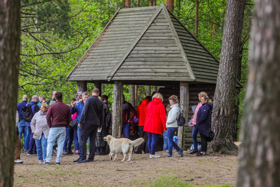 Valdininkų piknikas: darbo metu ir su brendžiu