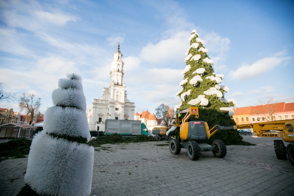 Kauno eglės kūrėja: nežinau, kodėl taip paskubinta ją nupuošti