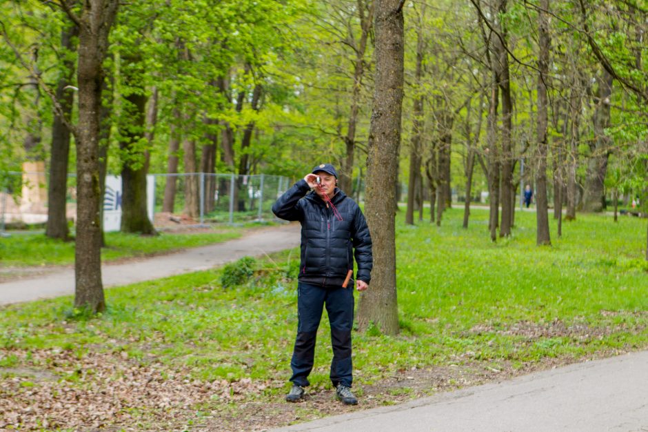 Specialistai: tokie ąžuolai savaime yra vertybė