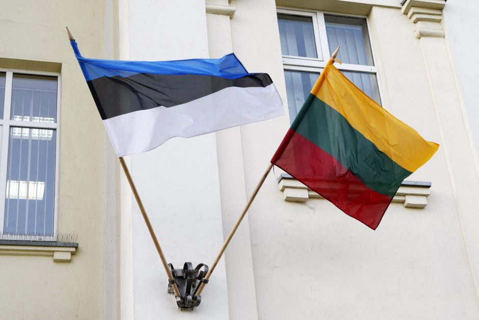 Pandemijos ekonomika: kaip skiriasi Estijos ir Lietuvos sprendimai 