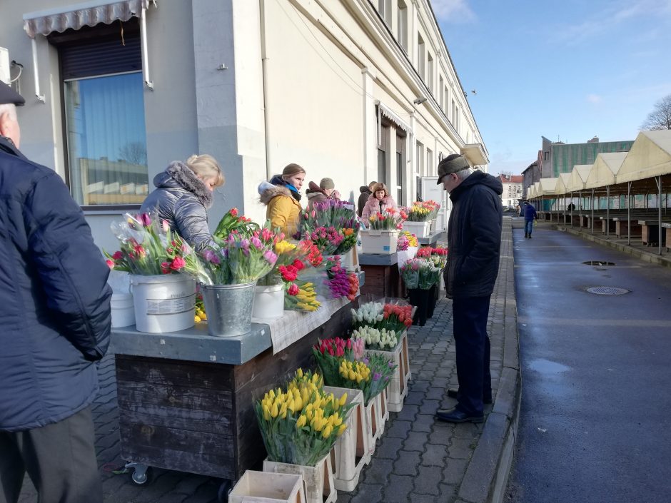 Moters dienai – ryškiaspalvių tulpių žiedai: kai kurie perka ir šimtais