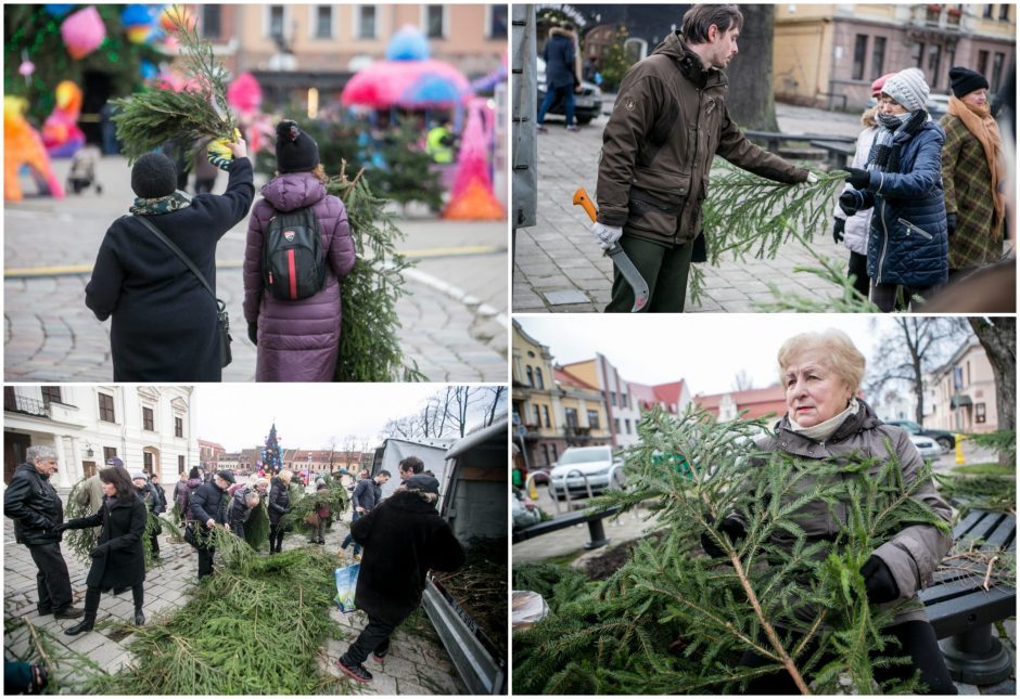 Miškininkai grąžina tradiciją – nemokamai dalins eglių šakas