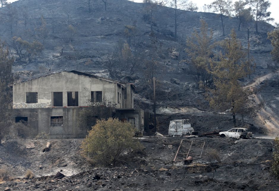 Kiprui pavyko suvaldyti didžiausią per kelis dešimtmečius miško gaisrą