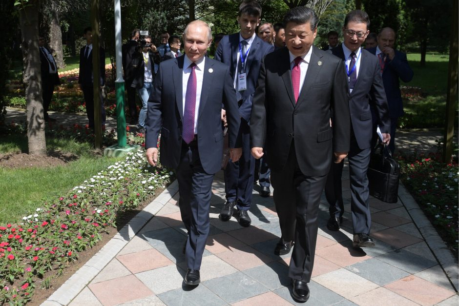 V. Putinas pasveikino Kinijos prezidentą su gimtadieniu – įteikė dėžę ledų