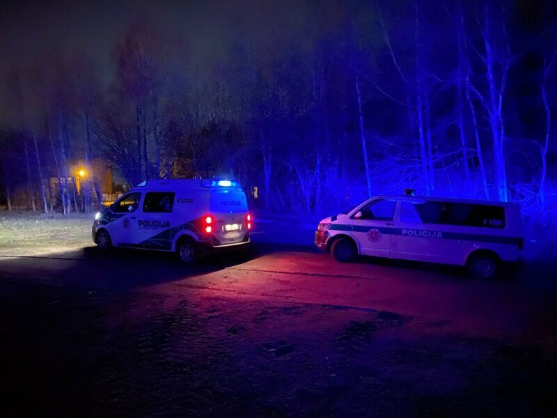 Miške prie Vilniaus rasta nužudyta moteris: įtariamieji – vaikinas ir mergina