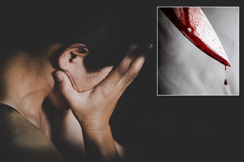 Trakų rajone girtas vyras švaistėsi peiliu: dūrė moteriai į nugarą