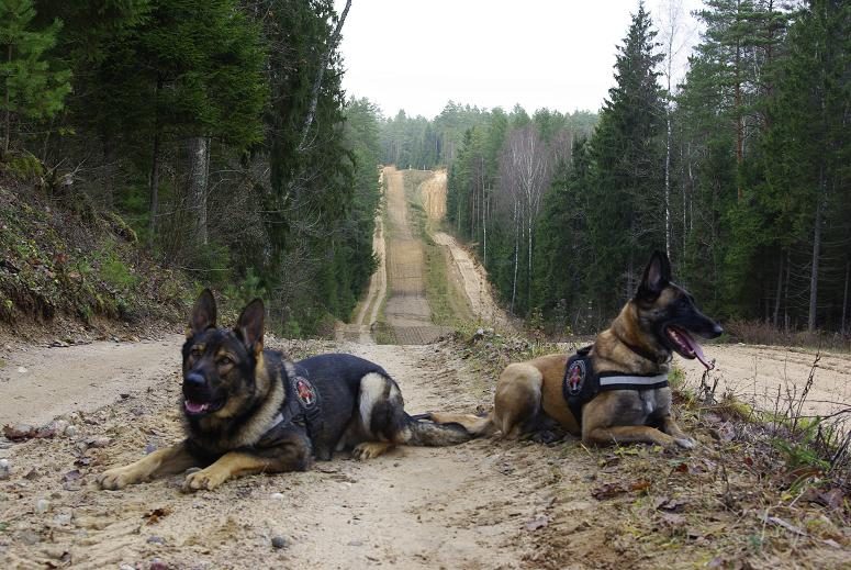 Vilniaus rajono kontrabandininkai pateko į tarnybinių šunų pasalą