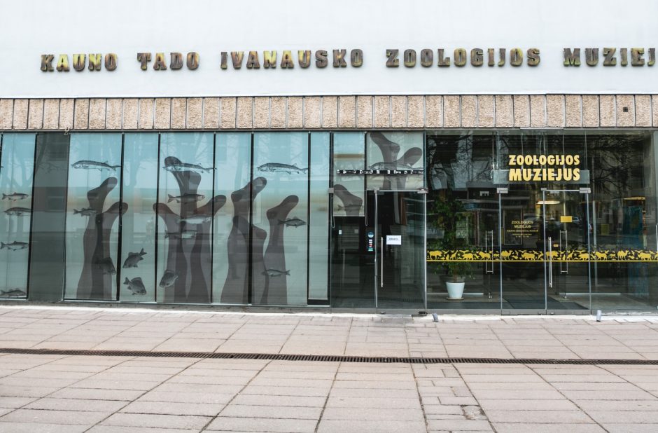 Akmenų muziejus bus prijungtas prie T. Ivanausko muziejaus?