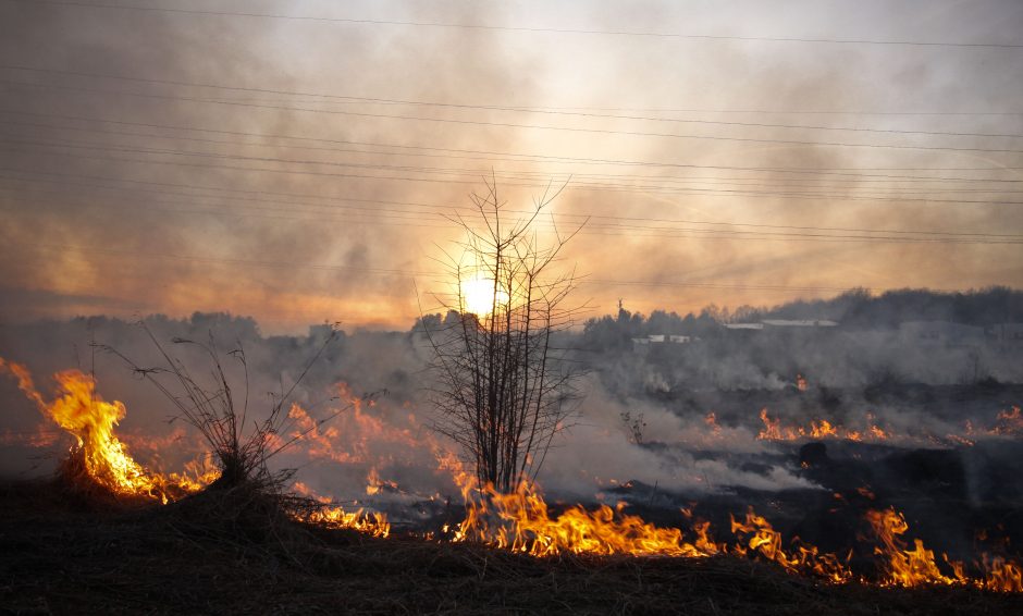 Savaitgalį ugniagesiai beveik 400 kartų vyko gesinti žolės