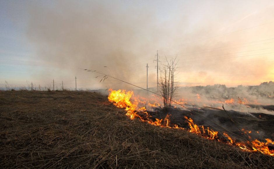 Radviliškio rajone išdegė trys hektarai durpingos pievos