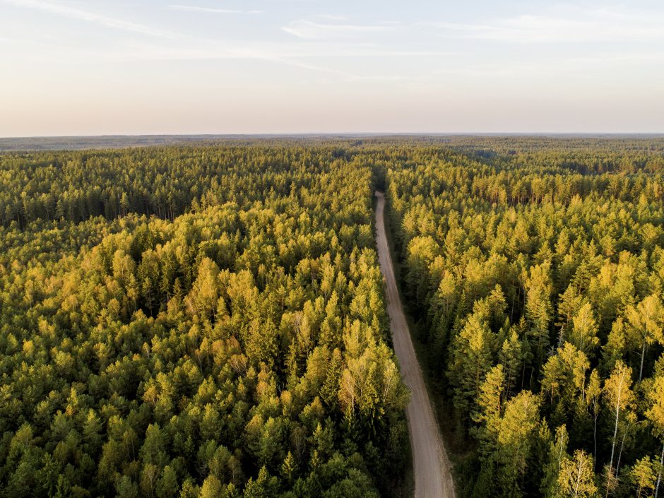 Dalyje Lietuvos miškų – didelis gaisrų pavojus