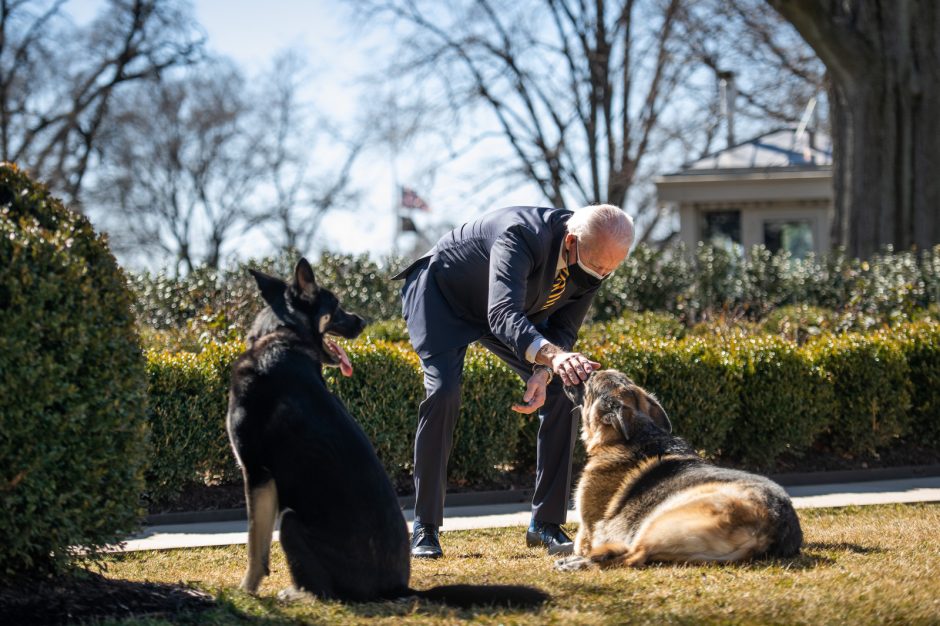 JAV pirmosios poros šunys sugrįžo į Baltuosius rūmus