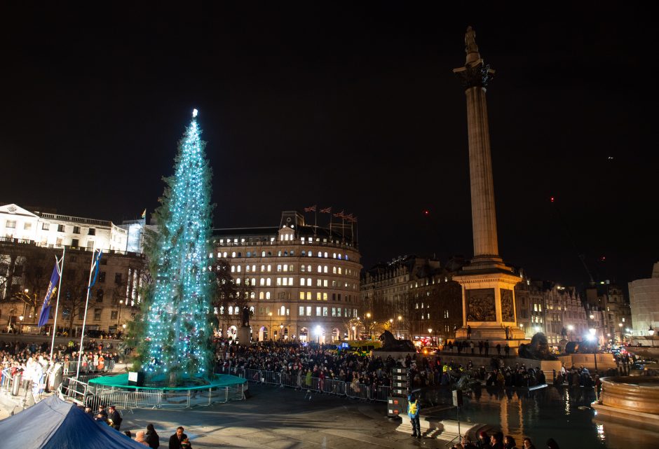 Londono Kalėdų eglė tapo pajuokos objektu