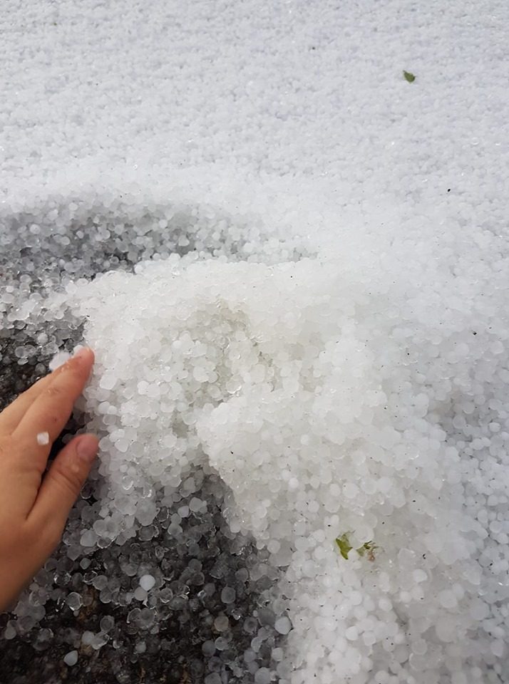 Neįprastas vaizdas Utenos rajone: vidurvasarį braidžiojo po sniegą