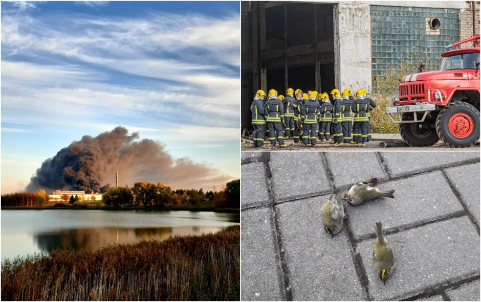 Situaciją Alytuje lygina su Černobyliu: trūksta respiratorių, žūsta gyvūnai