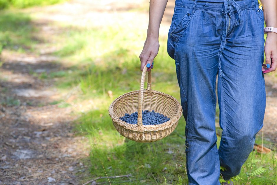 Mažas mėlynių derlius augina jų kainą, verslą trikdo eilės pasienyje