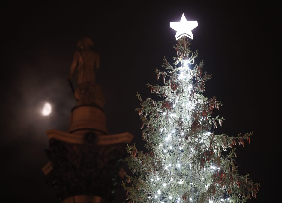 Londono Kalėdų eglė tapo pajuokos objektu