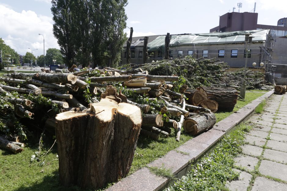 Pilies gatvėje nebeliko ligotų medžių