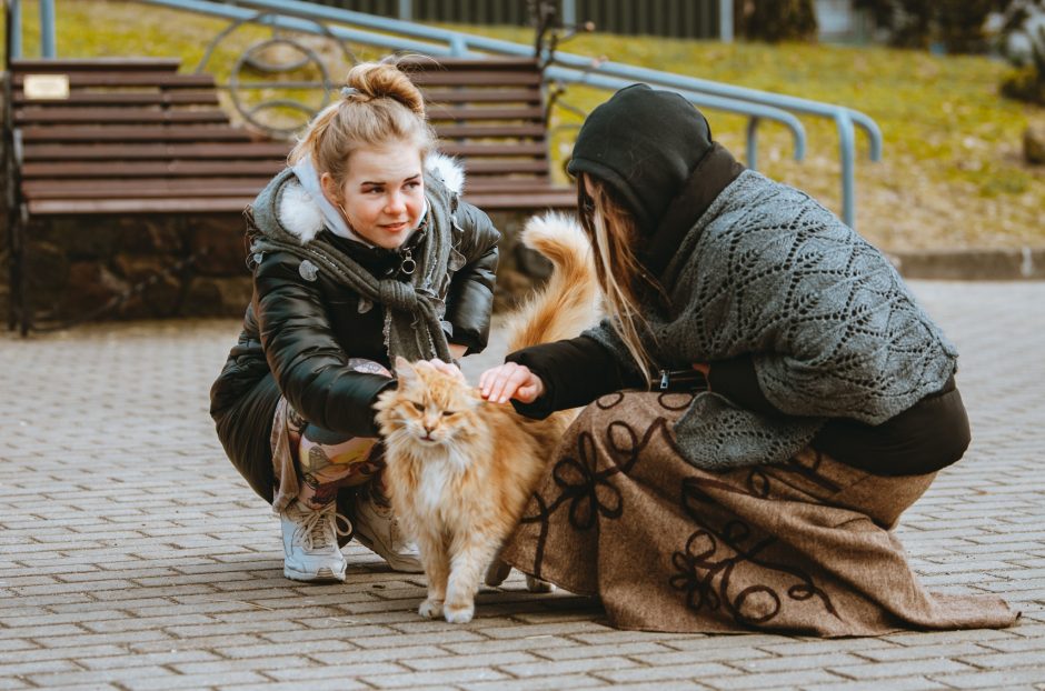 Aktyviausias švenčių dalyvis – katinas