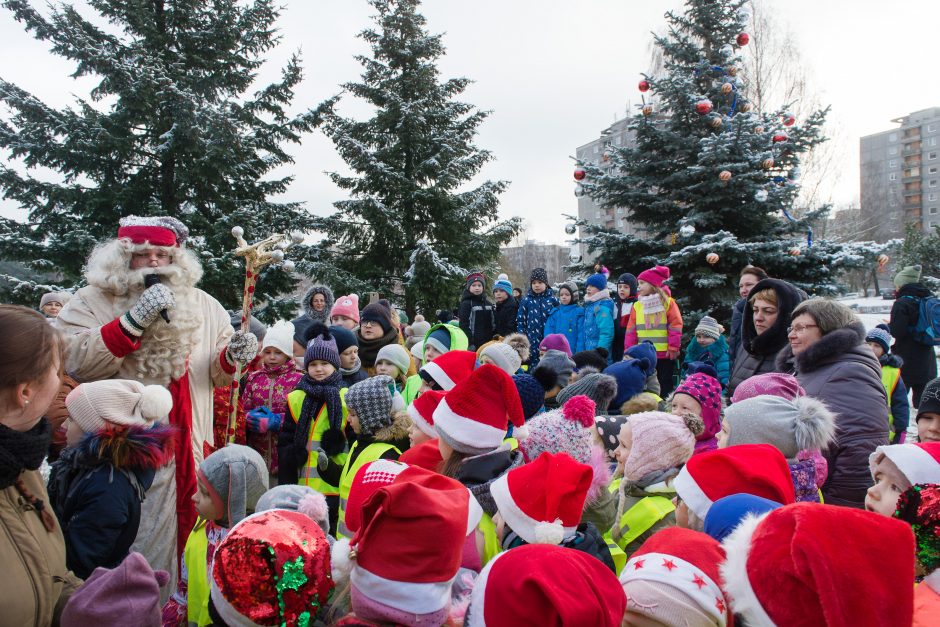 Kalėdos sostinėje: Vilnius egles puošia, kur tik gali