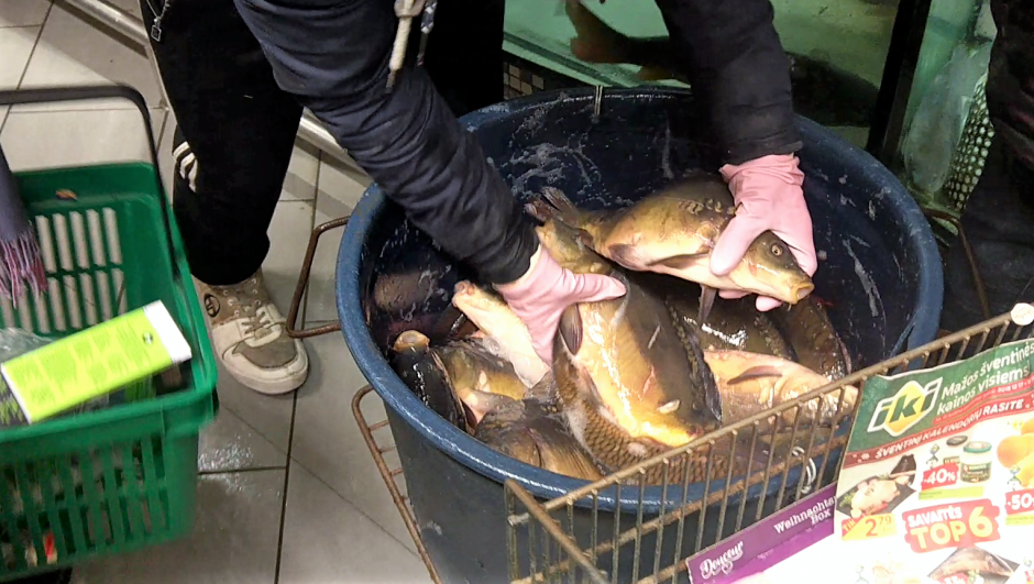 Gyvūnų teisių gynėjai ragina nutraukti prekybą gyva žuvimi