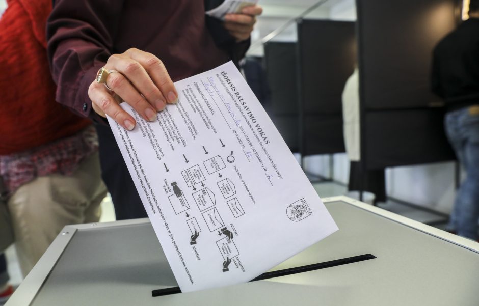 Seimo rinkimų tendencijos: visuomenės pasitenkinimas demokratija augo