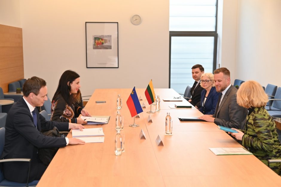 G. Landsbergis su Lichtenšteino kolege aptarė paramą Ukrainai, NATO viršūnių susitikimą