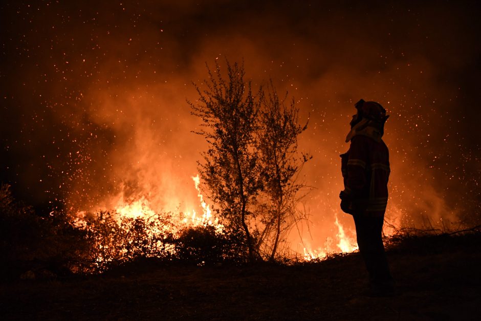 ES tyrimas: dėl klimato kaitos didės miškų gaisrų pavojus