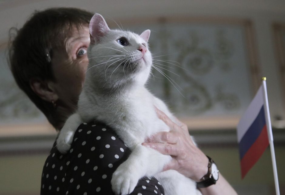Prancūzų gydytojas testamentu paliko 3 000 eurų Sankt Peterburgo Ermitažo katėms